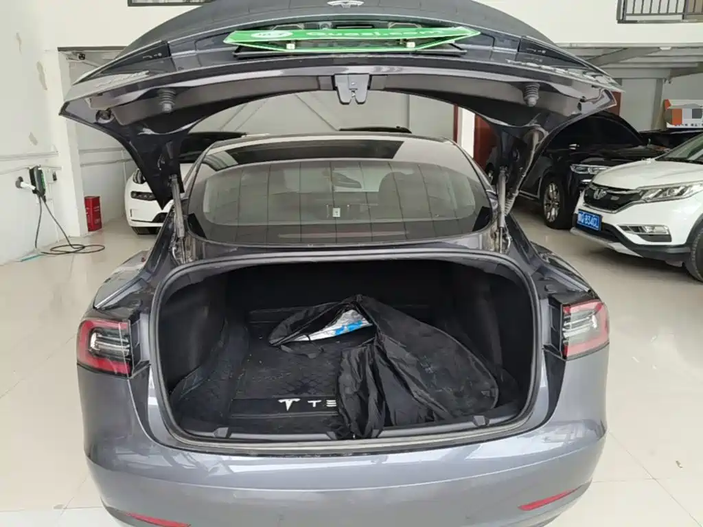 Tesla Model 3 — миниатюра 19