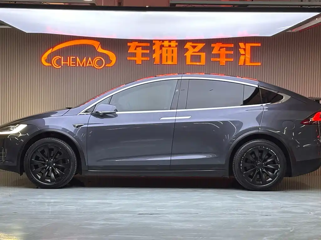 Tesla Model X — миниатюра 23