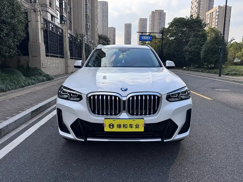 BMW X3 — миниатюра 2