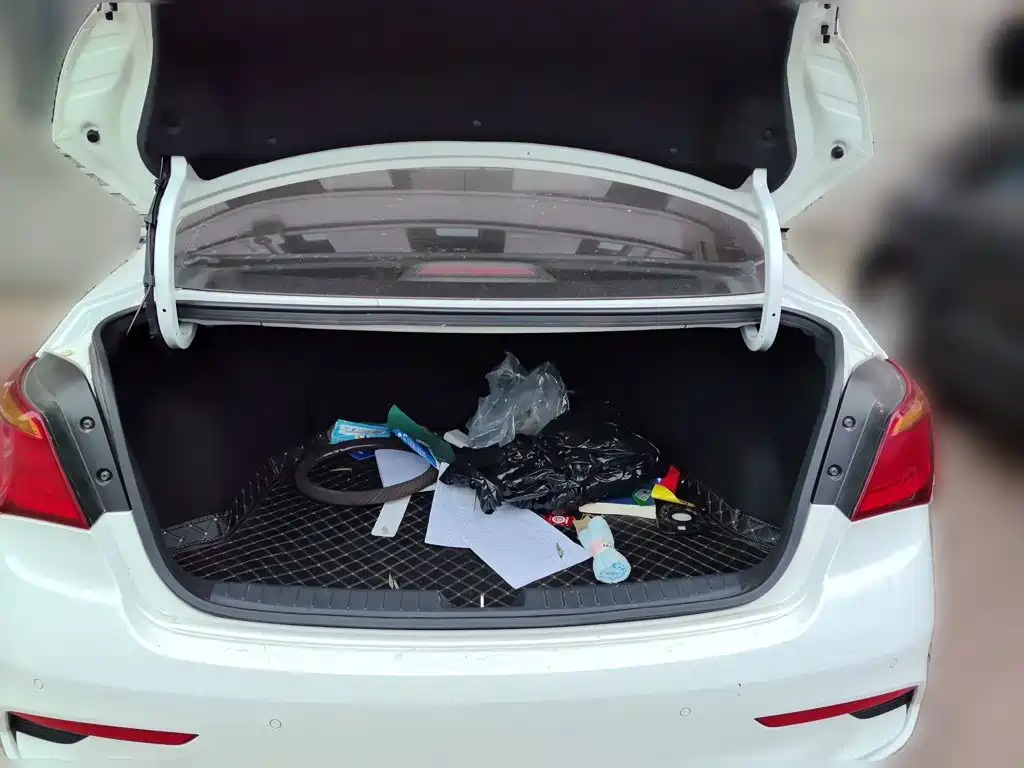 Hyundai Mistra — миниатюра 20