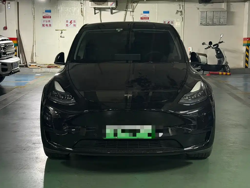 Tesla Model Y — миниатюра 2