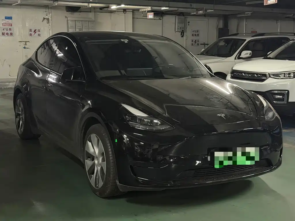 Tesla Model Y — миниатюра 3