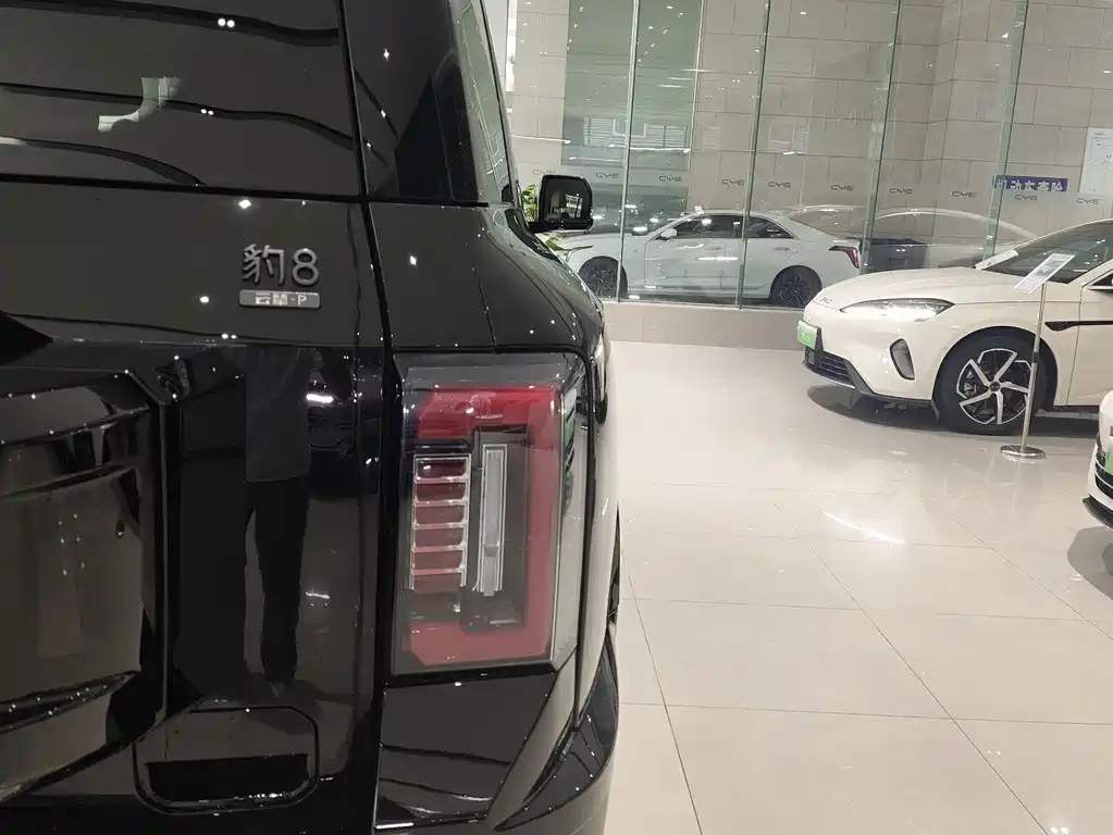 Fang Cheng Bao Leopard 8 — миниатюра 6