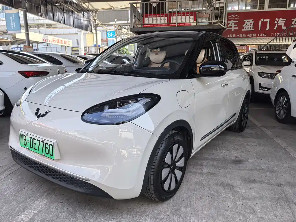 Wuling Bingo 2024