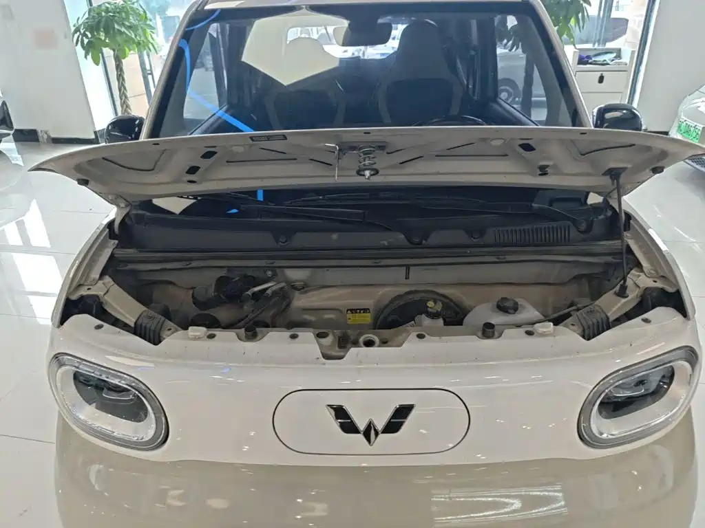 Wuling MINIEV — миниатюра 20