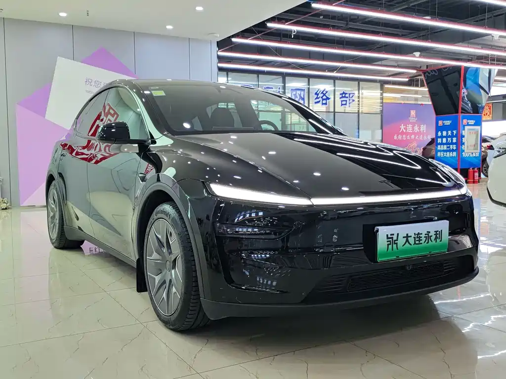 Tesla Model Y L — миниатюра 3