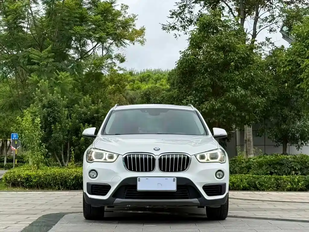 BMW X1 — миниатюра 2