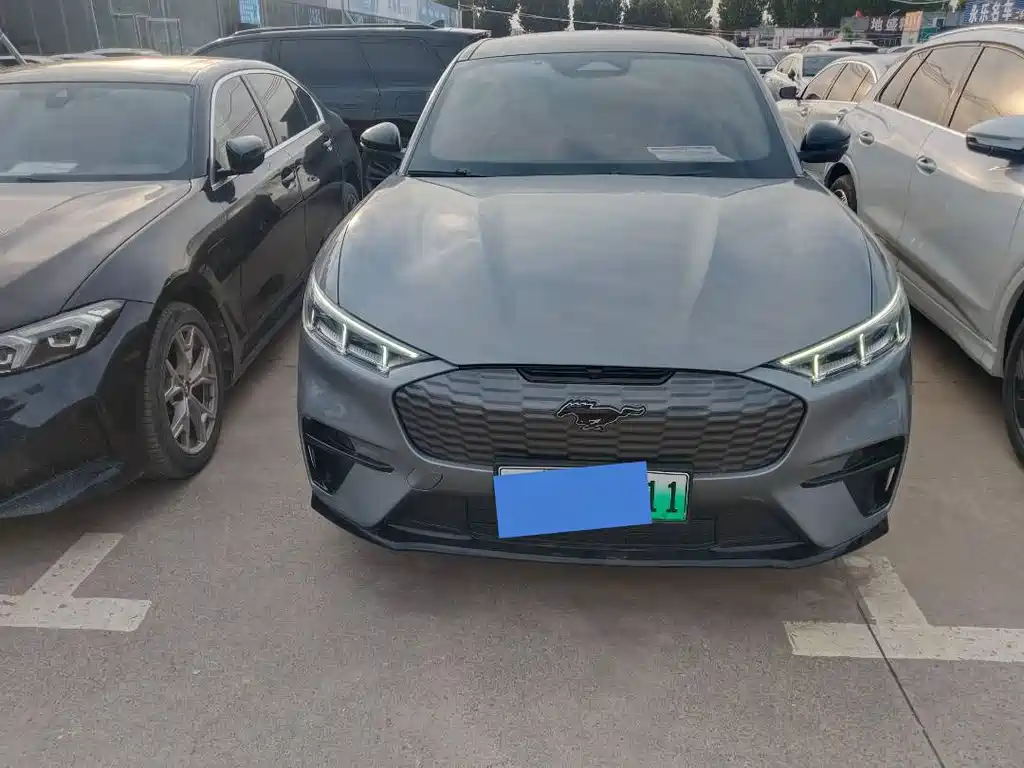 Ford Mustang Mach-E — миниатюра 2