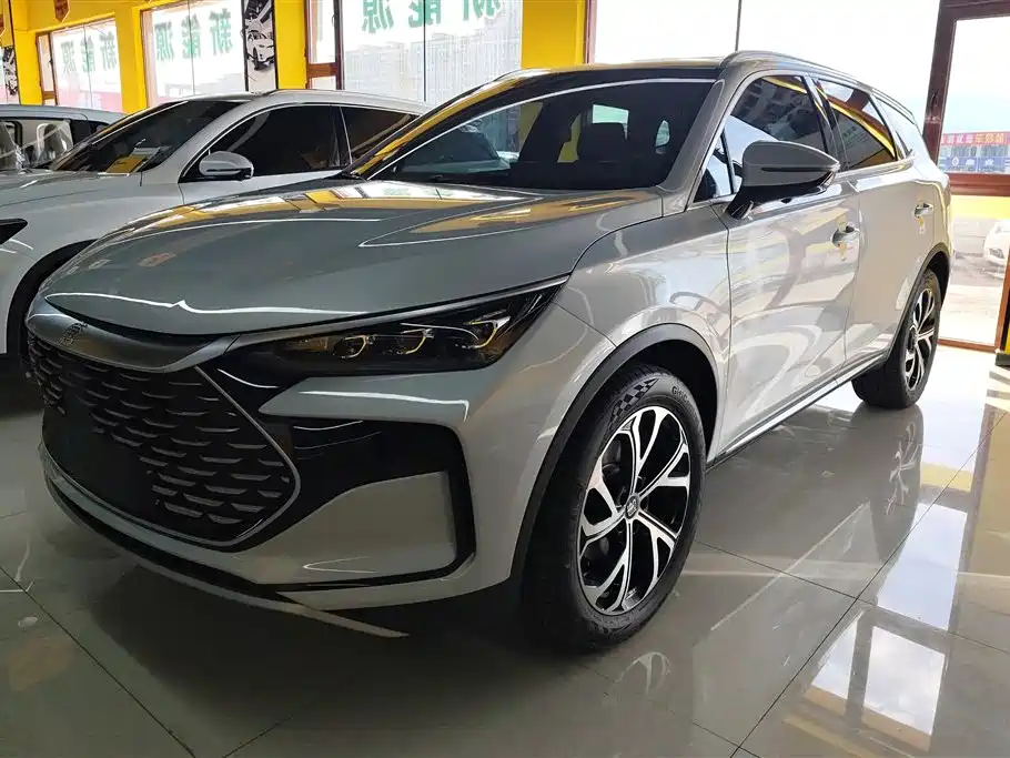 BYD Tang New Energy 2025 DM-i 115KM Honorable Type