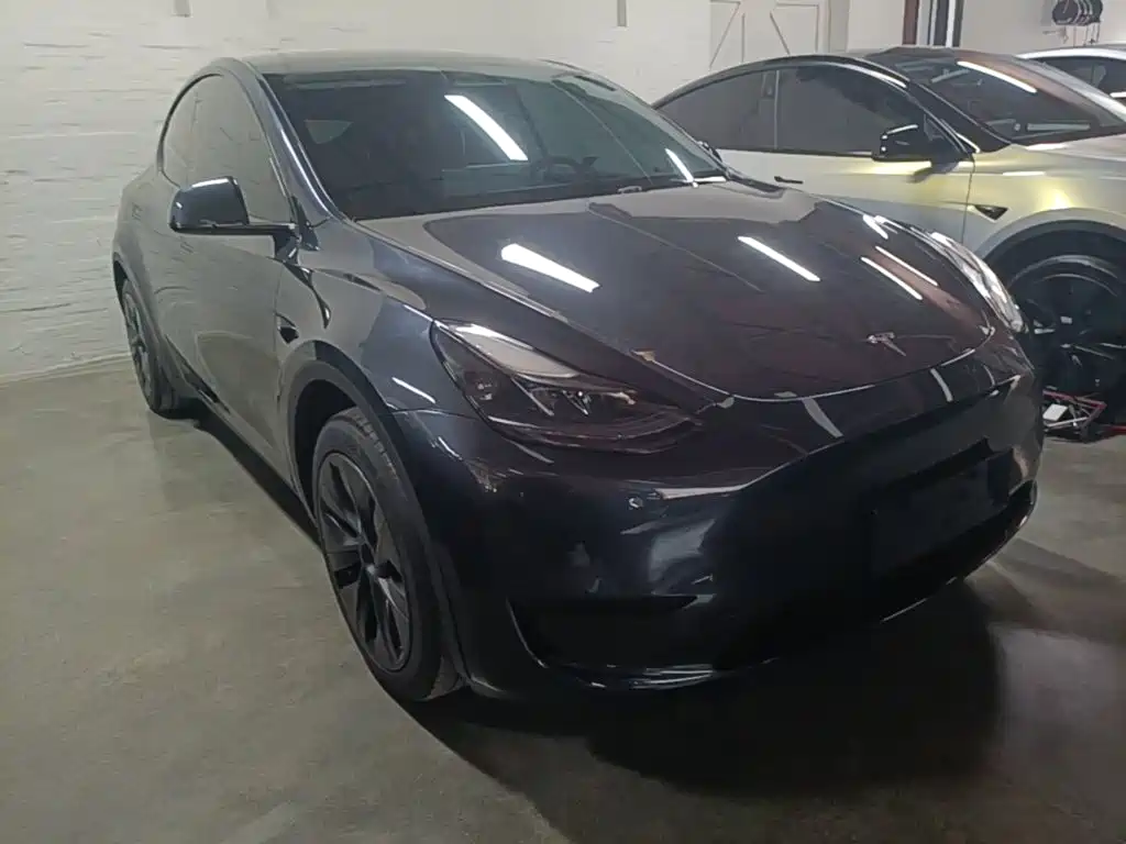 Tesla Model Y — миниатюра 4