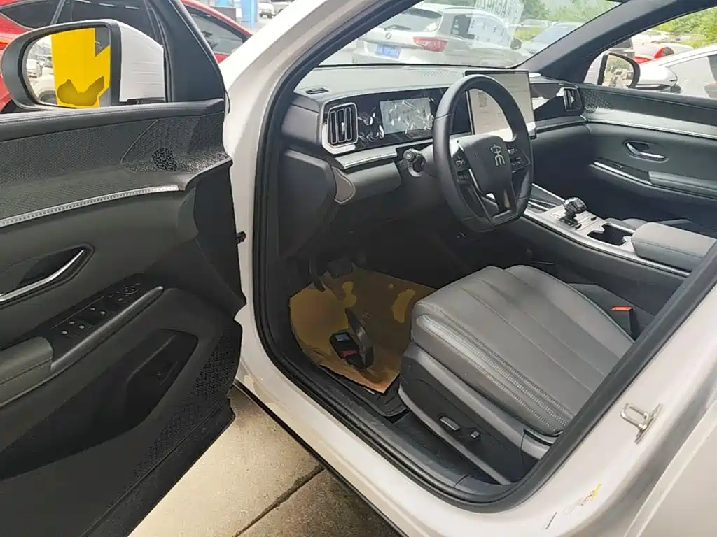 BYD Pro New Energy — миниатюра 16