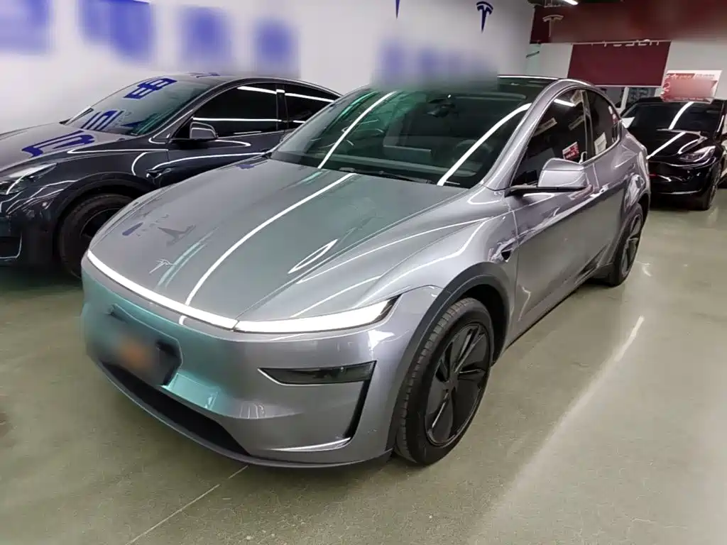 Tesla Model Y — миниатюра 2