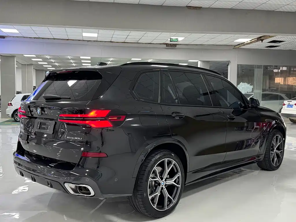 BMW X5 — миниатюра 9