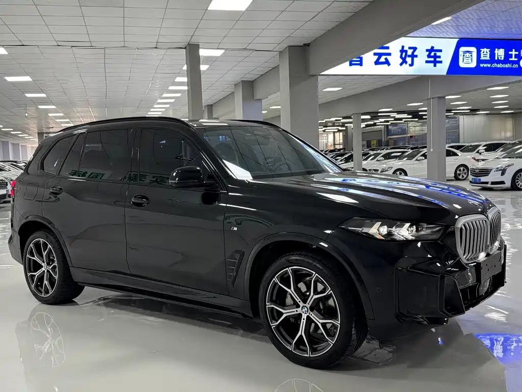 BMW X5 — миниатюра 3