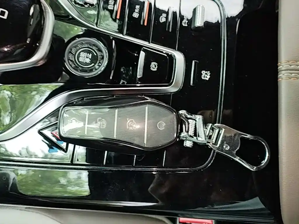 BYD Qin Plus PLUS 2024 DM-i 55KM Lead