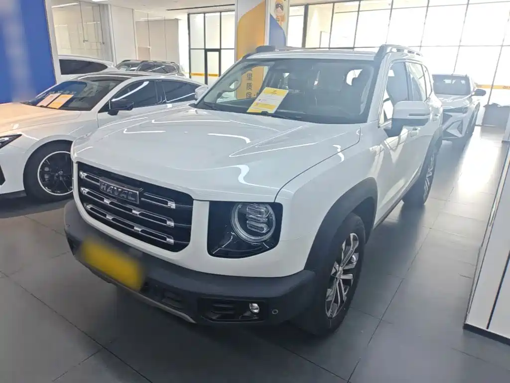Haval Big Dog