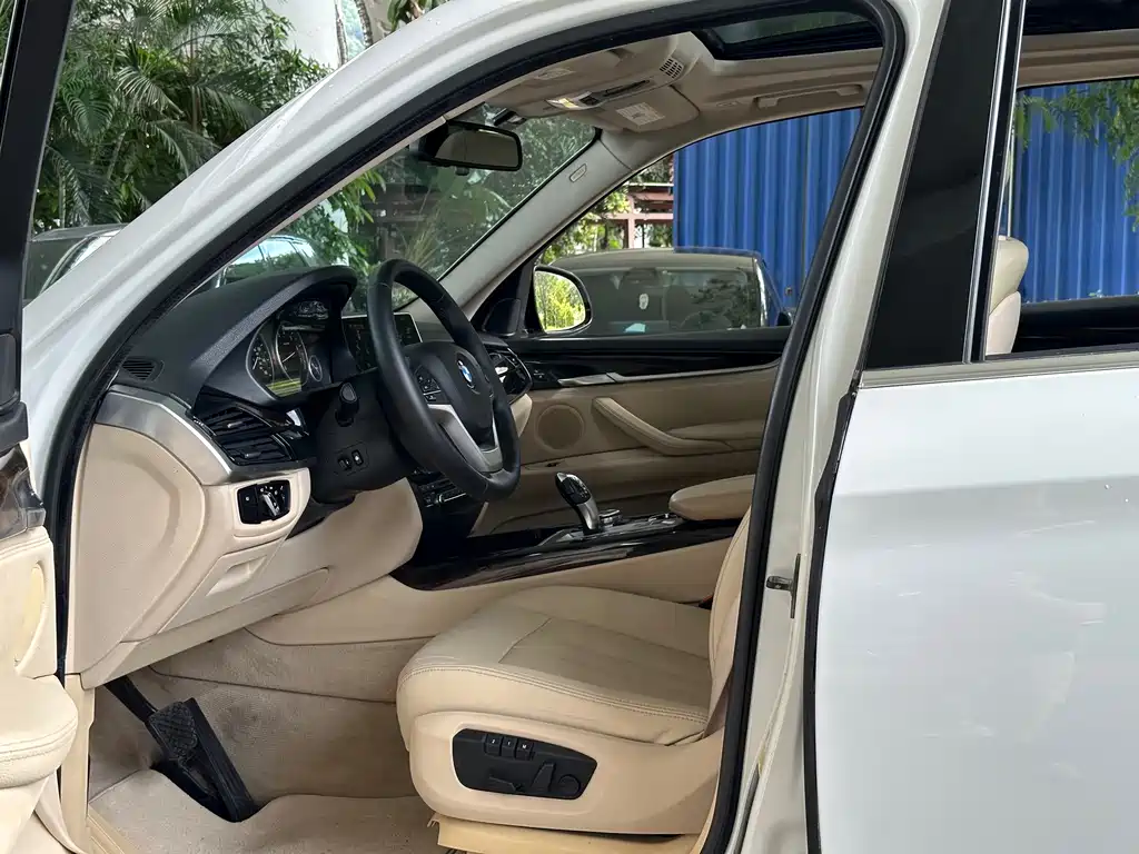 BMW X5 (Import) — миниатюра 5