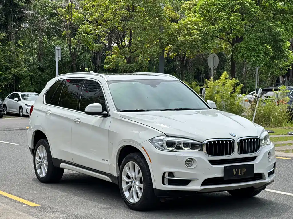 BMW X5 (Import) — миниатюра 3