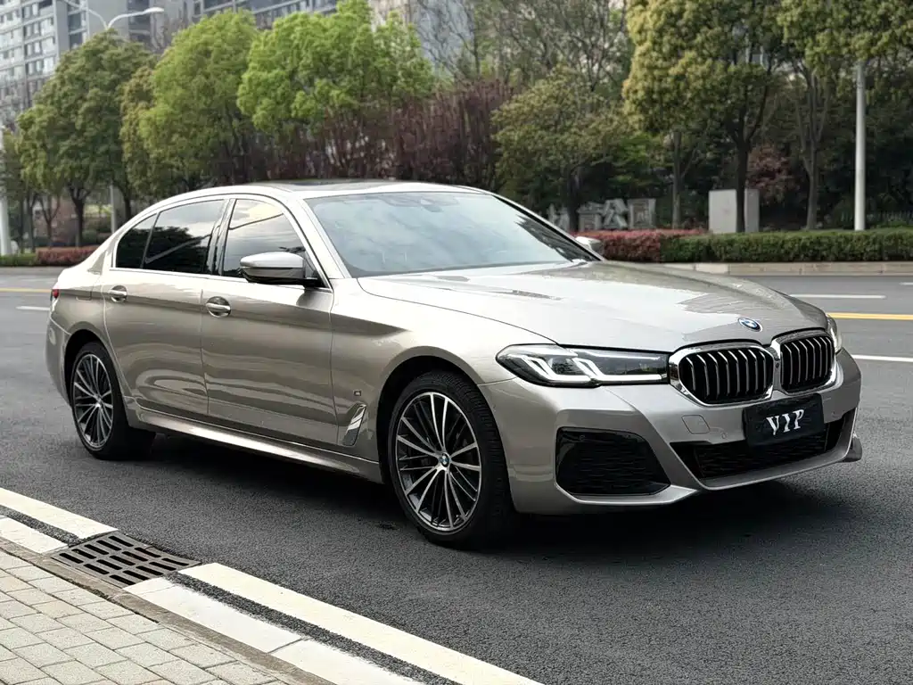 BMW 5 Series 2021