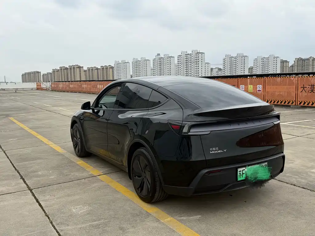 Tesla Model Y — миниатюра 12