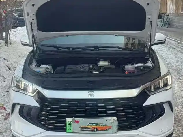 BYD SONGJIANG NEW ENERGY