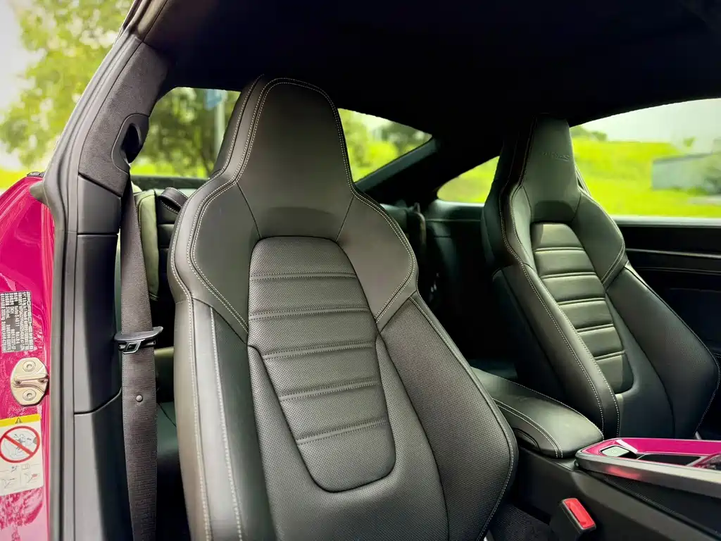 Porsche 911 — миниатюра 19