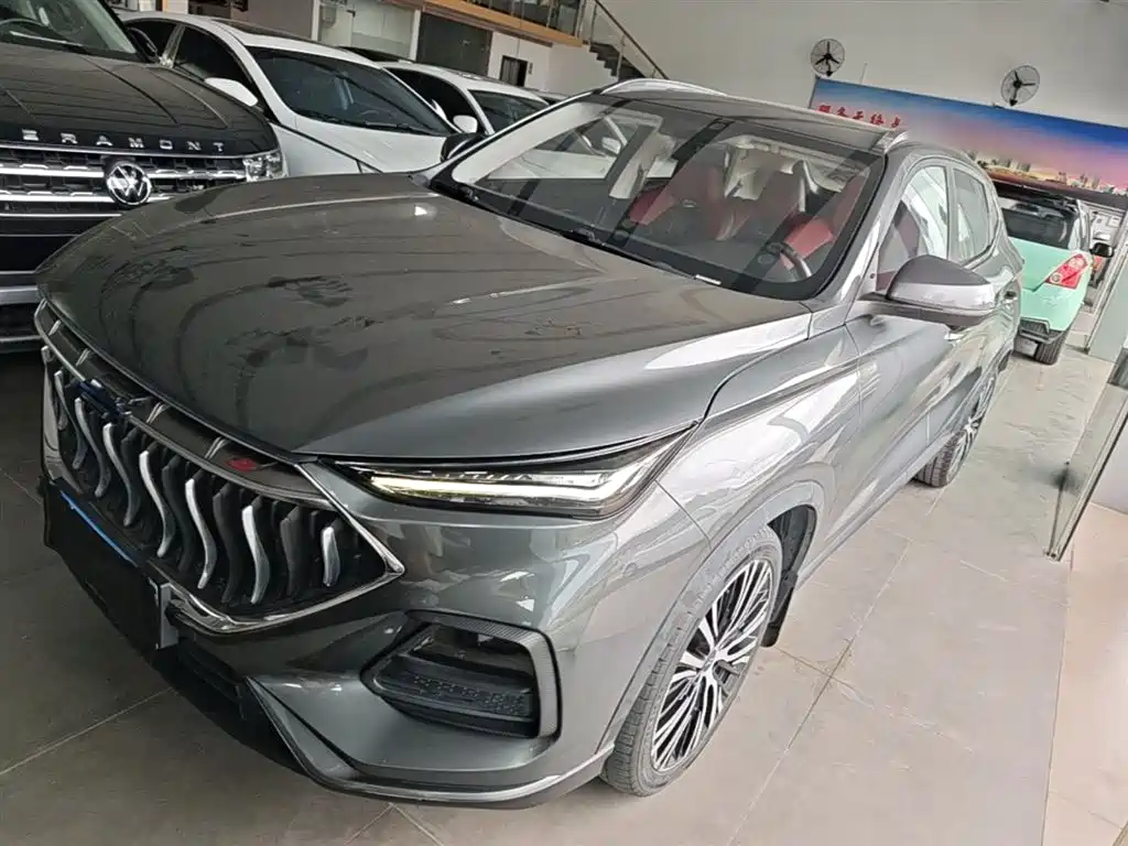 Купить Oshan Oushang X5