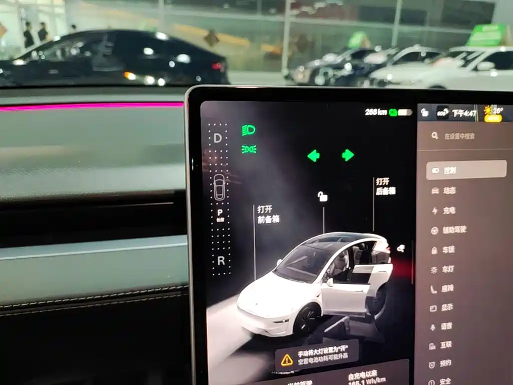 Tesla Model Y — миниатюра 14
