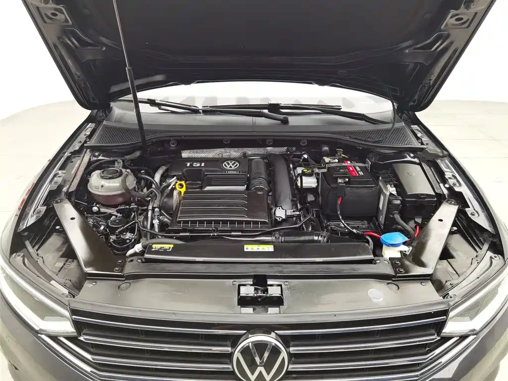 Volkswagen Magotan 2020 280TSI DSG Comfort