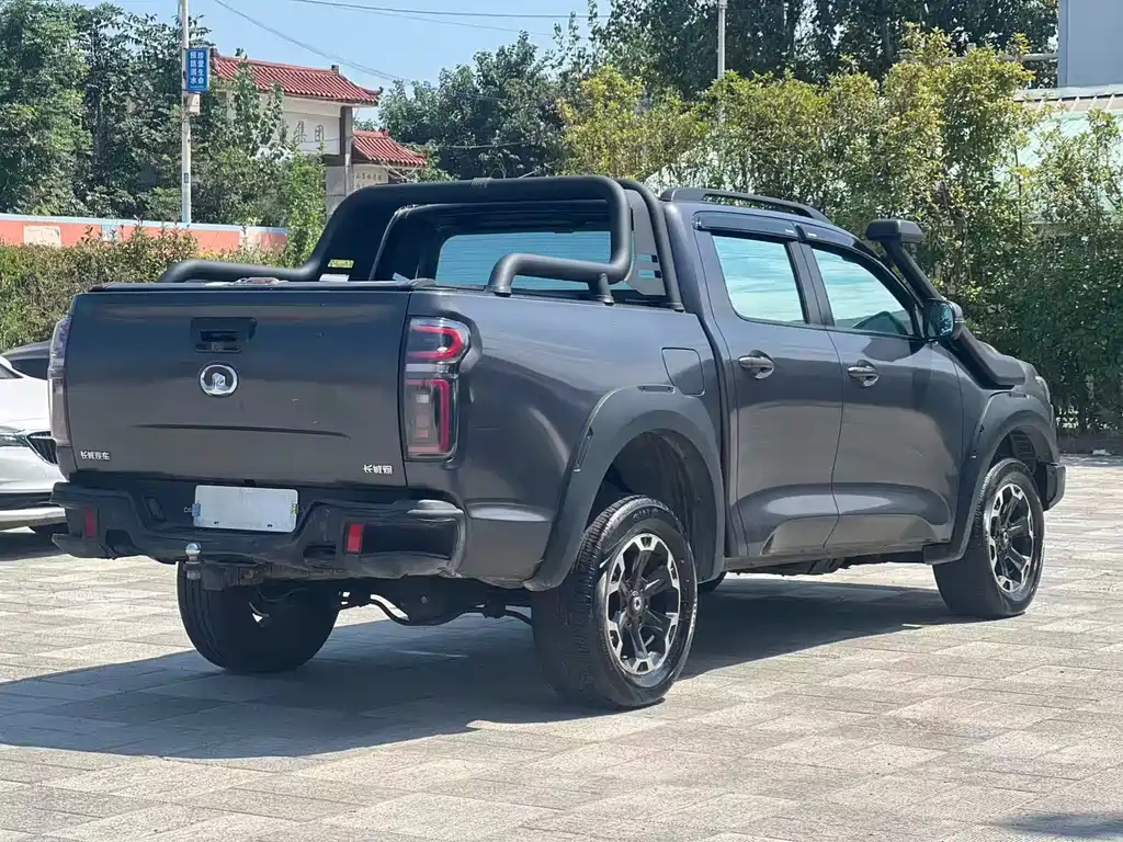 Great Wall Pao — миниатюра 9