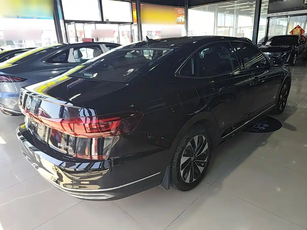 Volkswagen Passat — миниатюра 7
