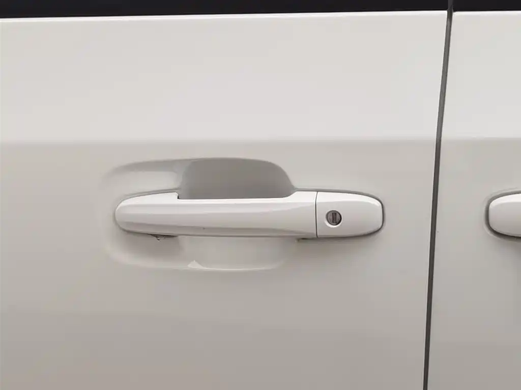 SAIC MAXUS CHASE G10