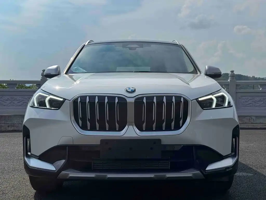 BMW X1 — миниатюра 2