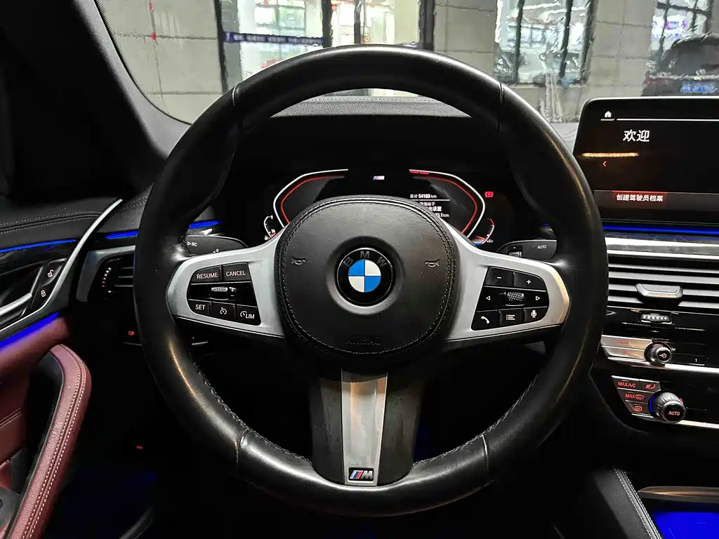 BMW 5 Series 5 2022 525Li M Sport