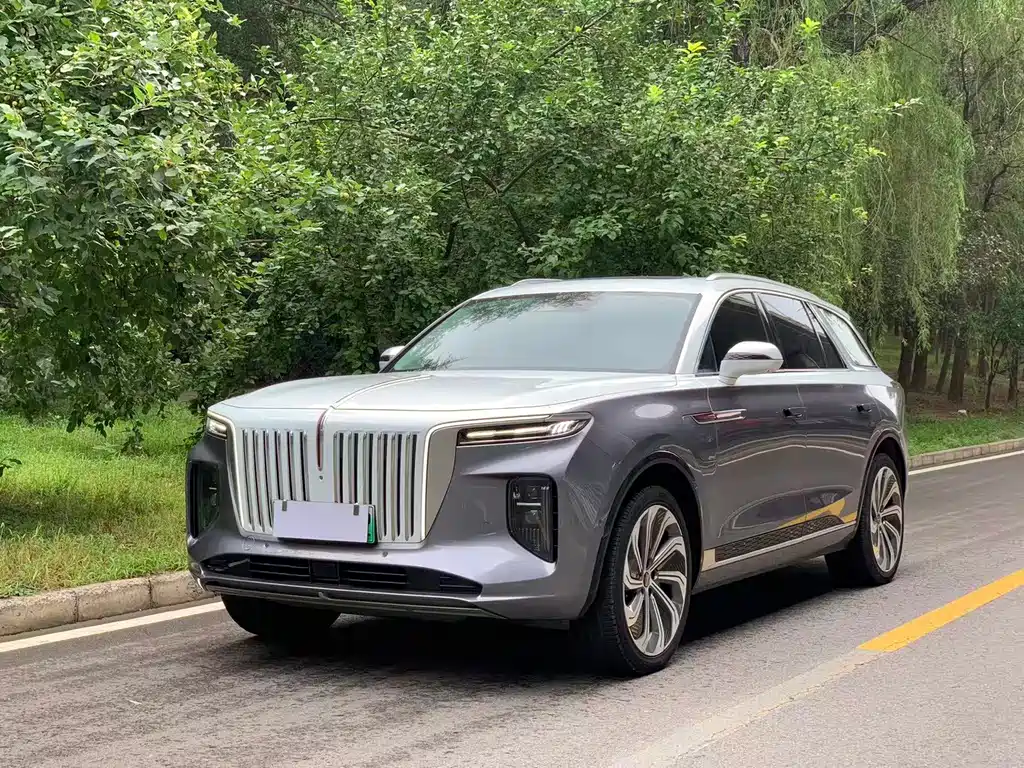 Hongqi Hongqi E-HS9
