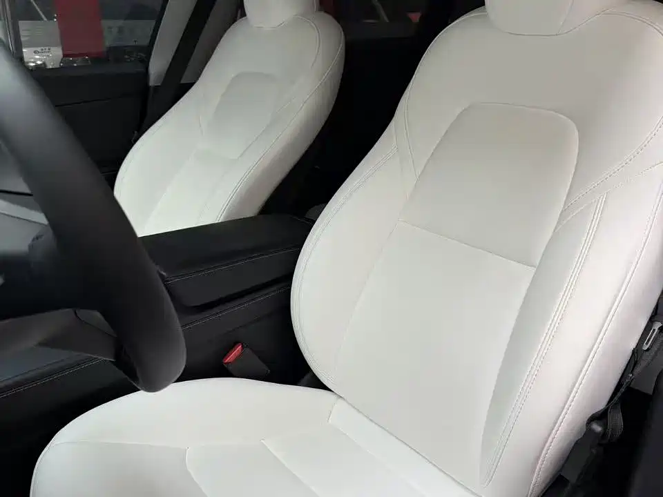 Tesla Model Y — миниатюра 3