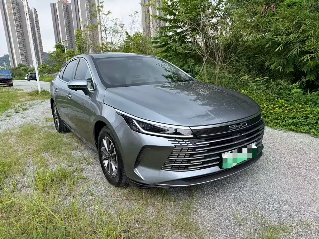 BYD Destroyer 05 2024 DM-i 55KM Luxury