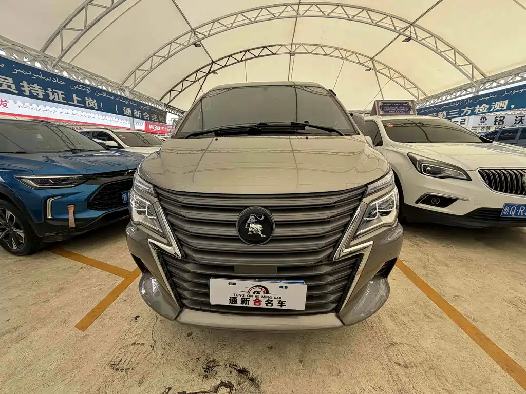 Fengxing Lingzhi — миниатюра 2