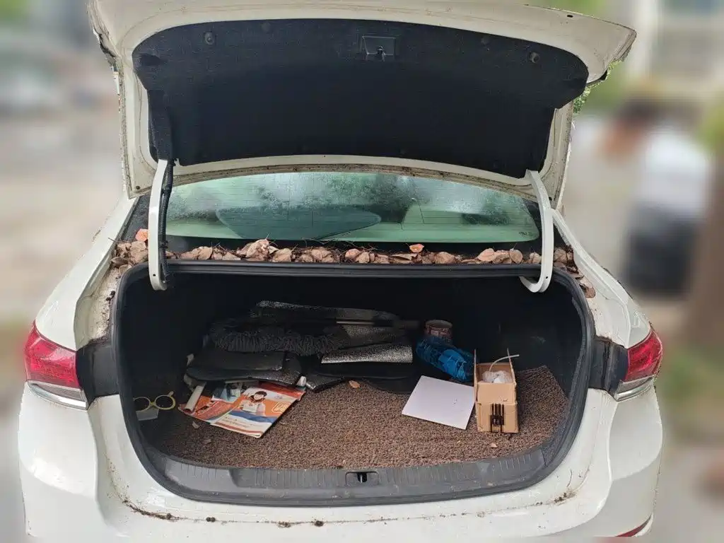 Buick Excelle — миниатюра 16