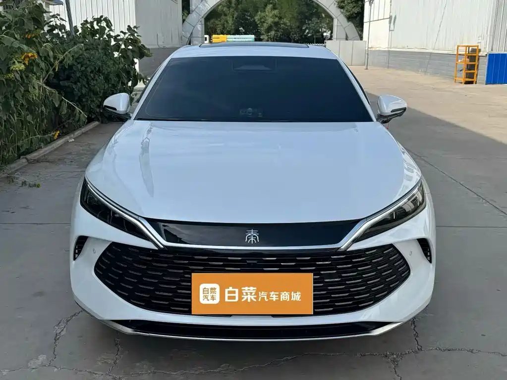 BYD Qin L — миниатюра 2