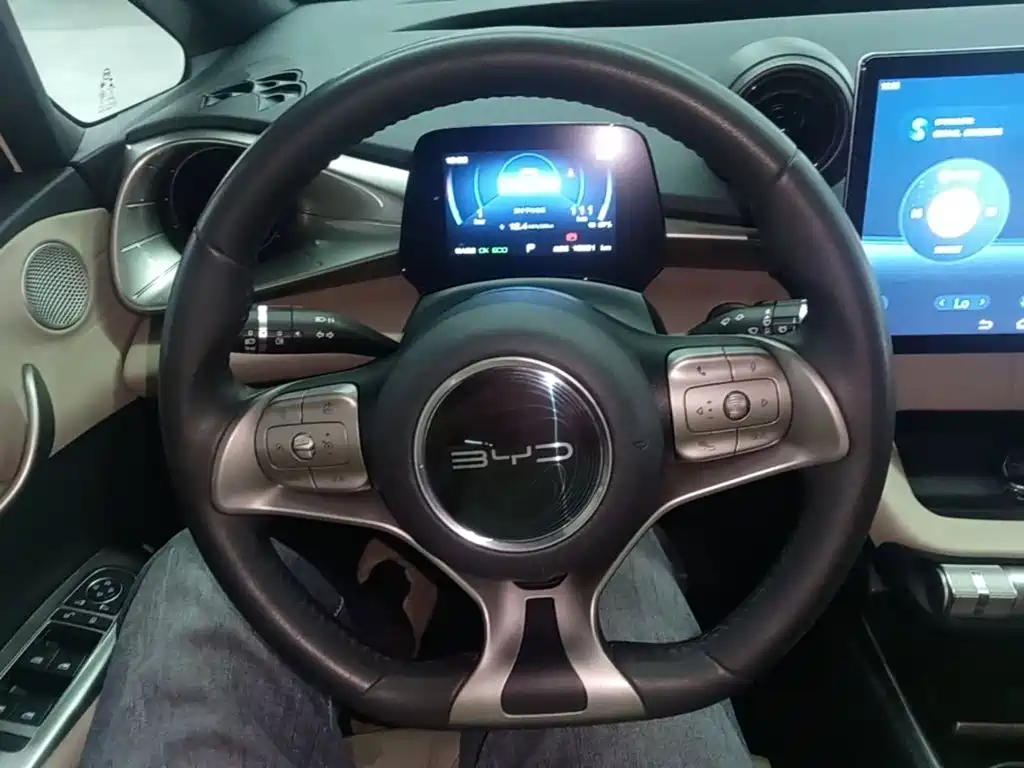 BYD Dolphin — миниатюра 11