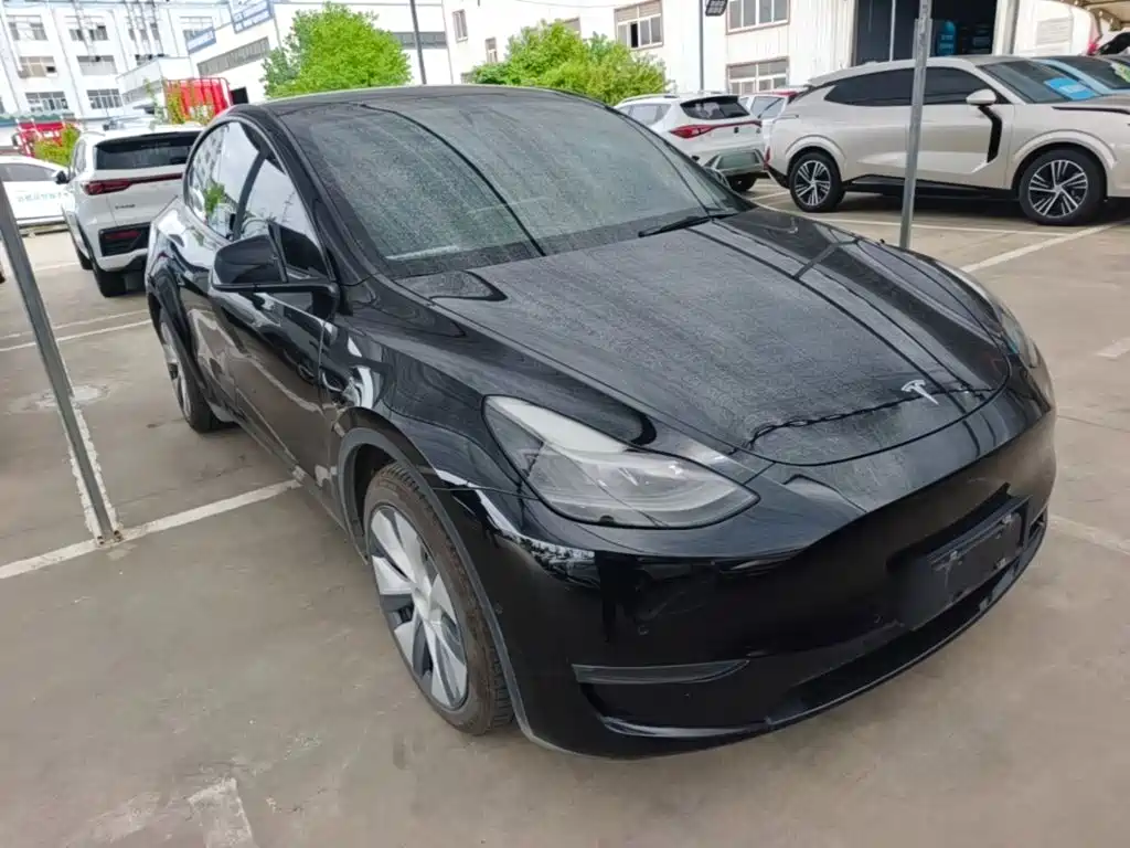 Tesla Model Y — миниатюра 4