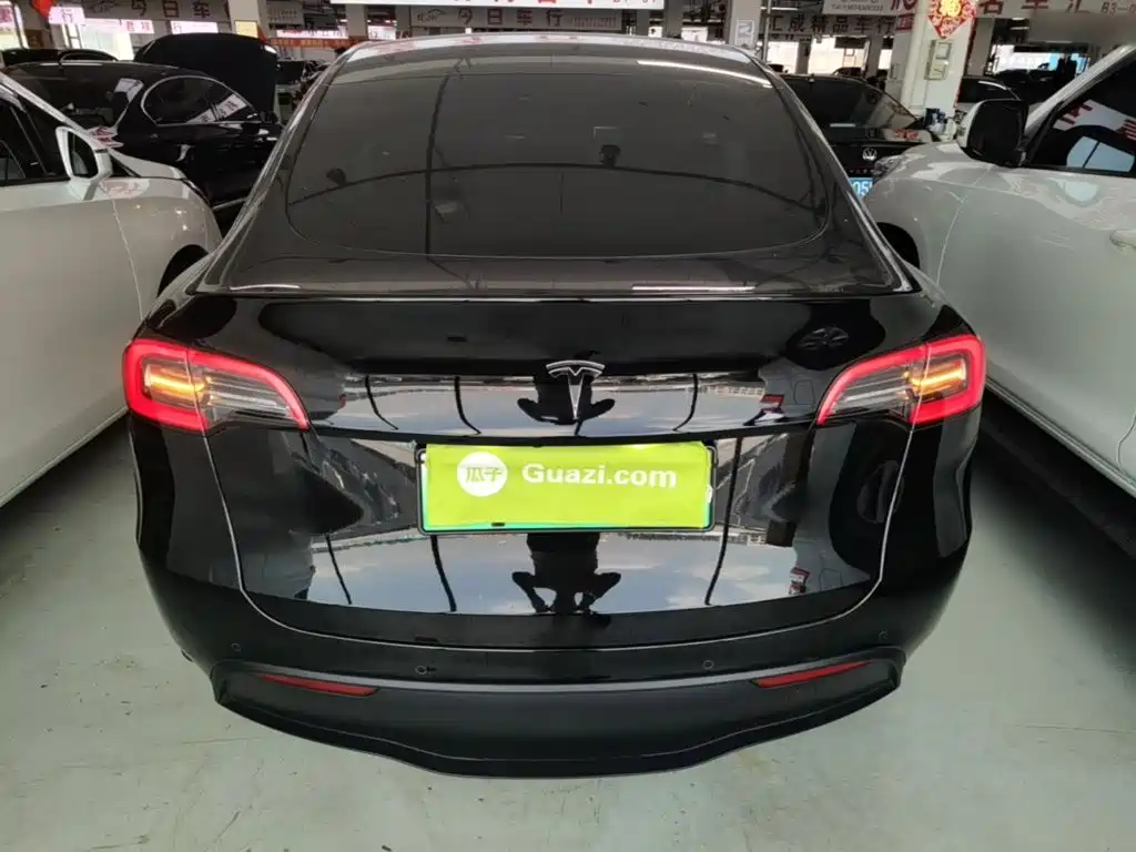Tesla Model Y — миниатюра 6