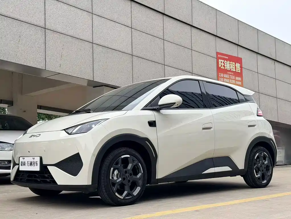 BYD Seagull