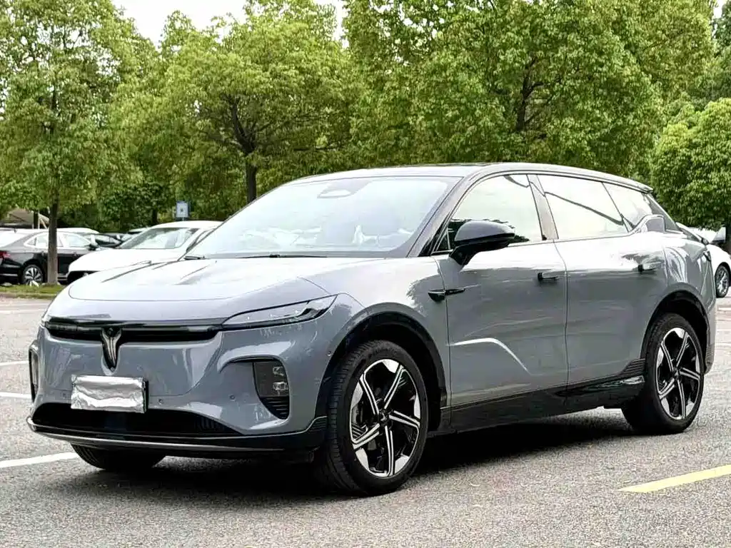 Voyah Wisdom Sound 2024 Long Range Super Charge Edition