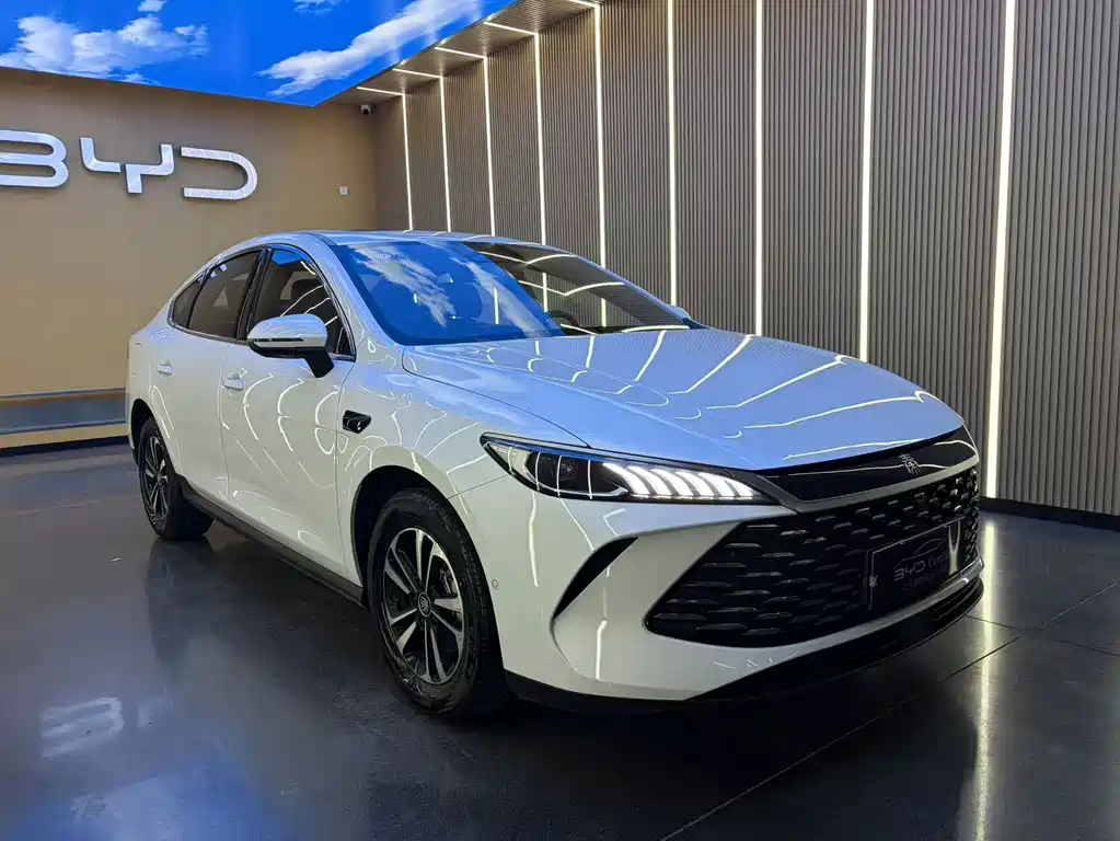 BYD Qin PLUS — миниатюра 3
