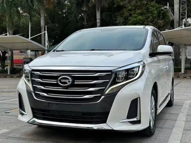 2020 GAC GN8