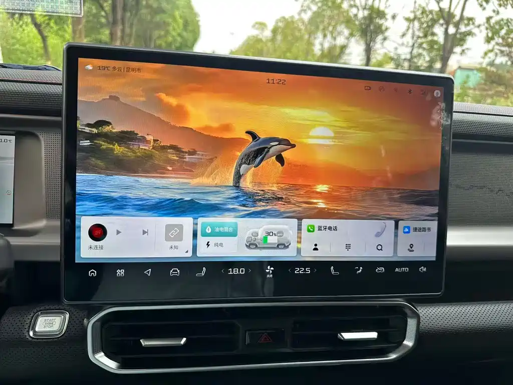 Shanhai Traveller C-DM — миниатюра 11