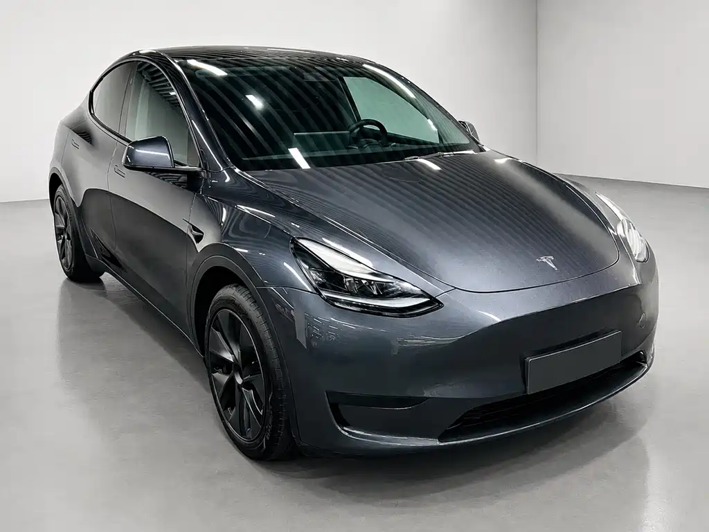 Tesla Model Y — миниатюра 2