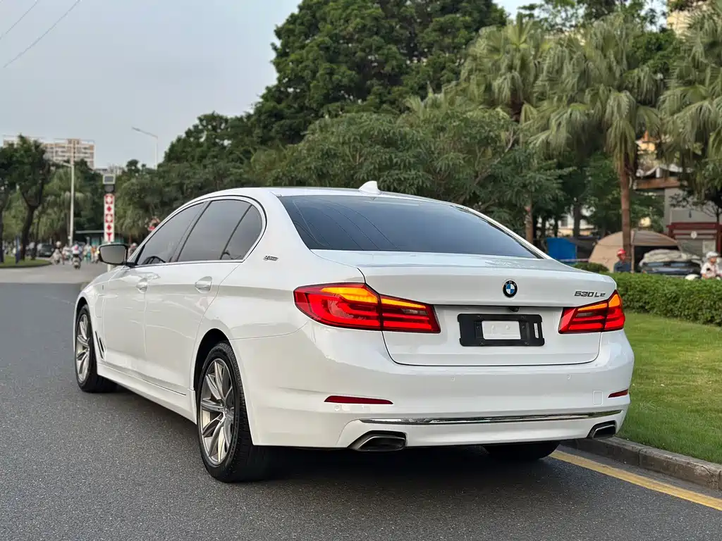 BMW 5 Series New Energy — миниатюра 5